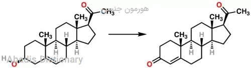 هورمون جنسی